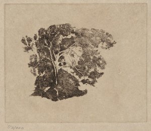 Estudo das árvores de Emil Carlsen