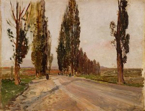Boulevard of Choupos perto de Plankenberg, c. 1890