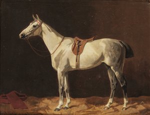 Um cavalo cinzento selado à espera num estábulo de Emil Volkers