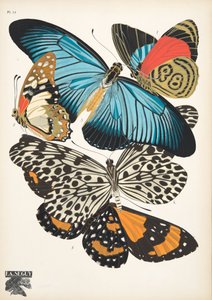Placa 11, de Papillons, pub. 1925 (pochoir print)