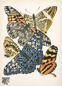 Placa 3, de Butterflies, pub. 1925 (impressão em estêncil) de Émile Allain Séguy