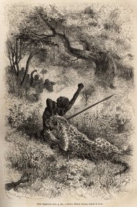 Um leopardo salta sobre um homem e morde-o cruelmente nas suas costas, nas proximidades de Bambare (Congo), gravando depois de um desenho de Emile Bayard, ilustrando o último diário de David Livingstone (1813-1873), em 1866-1873, publicado em "Le tour du m de Emile Antoine Bayard