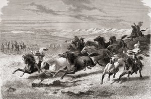 Gaúchos argentinos arrebanhando cavalos selvagens, ilustração de "O mundo nas mãos", gravada por Charles Laplante (d.1903), publicada em 1878 de Emile Antoine Bayard