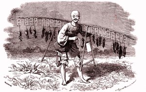 Matador de ratos na China. 1874 (gravura) de Emile Antoine Bayard