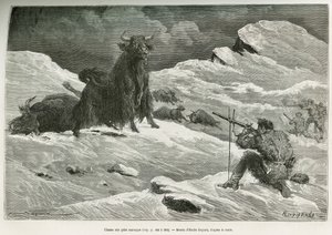 Cena de caça ao iaque selvagem, desenhada por Emile Bayard para ilustrar a viagem à Mongólia e à terra dos Tangoutes de 1870 a 1873, pelo Tenente Coronel Prjewalski. Gravura em Le tour du monde de Emile Antoine Bayard