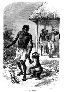 O jovem macaco Soko em África. Gravura de Emile Bayard (1837-1891) ilustrando as últimas histórias do explorador David Livingstone de Emile Antoine Bayard