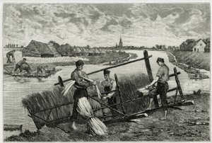 A ferrugem do linho (maceração para facilitar a separação da casca do caule) nos Lys (rio ao norte da França e da Bélgica). Gravação de Emile Claus, para ilustrar a história "La Belgique", de Camille Lemonnier (1844-1913), escritor e crítico de arte. de Emile Claus