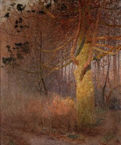 Árvore soalheira de Emile Claus