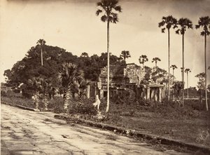 Floresta. de Emile Gsell
