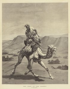 O posto do deserto