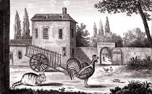 O galo, o gato e o rato, fábula de La Fontaine