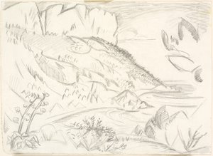 Cap Canaille ved Cassis. de Emile Othon Friesz
