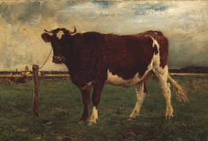 Estudo de uma vaca, 1870-90