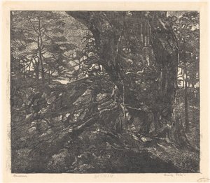 Árvores na borda de uma duna entre Egmond e Bergen