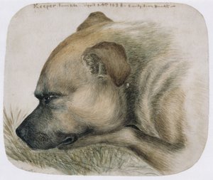 Guardião - da vida, 1838 (lápis e wc no papel) de Emily Bronte