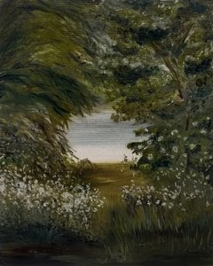Caminho sereno até ao lago de Emily Tingey