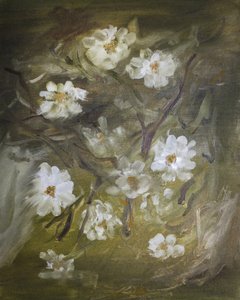 Flores brancas e delicadas de Emily Tingey