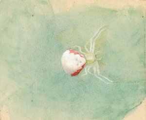 Aranha branca em porcelana, final do século XIX e início do século XX.