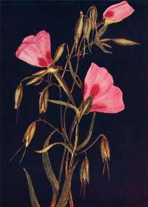 Adeus à Primavera, c1915, 1915