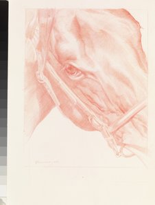 Portrait Head, 2012 (giz vermelho sobre papel)