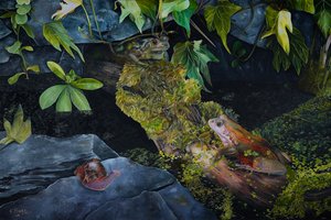 Vida no lago, 2021 (óleo sobre tela) de Emma Pewsey