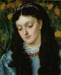 A bela Wallflower