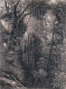 Vista do desfiladeiro acima de Apia, Upolu, Samoa Ocidental, 1877 (carvão sobre papel)