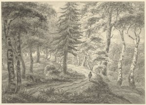 vista da floresta de Engelbert Michaël Engelberts