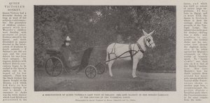 Uma reminiscência da última visita da rainha Victorias à Irlanda, Sua falecida majestade em seu carro de burro nas terras da Loja dos vice-reis de English Photographer