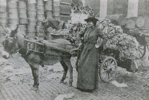 Um vendedor de flores de mulher de English Photographer