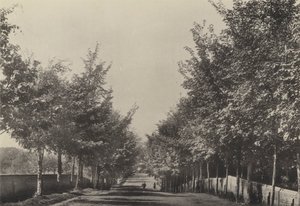 Aldeburgh, Westfields Avenue (foto a p/b) de English Photographer