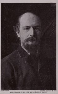 Algernon Charles Swinburne (1837-1909), poeta e dramaturgo inglês de English Photographer