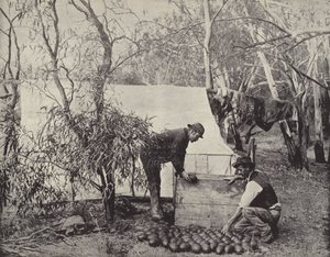 Um Emu-Eggers Camp de English Photographer