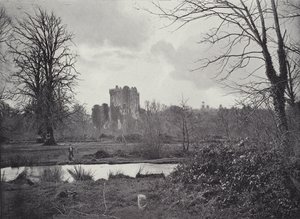 Castelo de Blarney de English Photographer