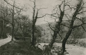 Bolton Woods de English Photographer