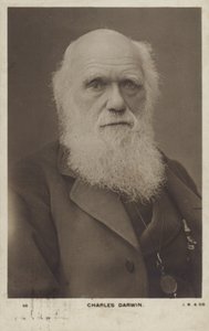 Charles Darwin (1809-1882), naturalista inglês de English Photographer