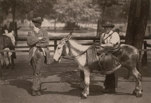 Passeios de burro em Clapham comum de English Photographer