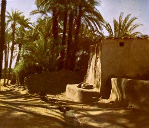 Egito -Karnak de English Photographer