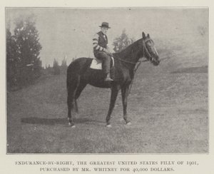 Endurance-by-Right, o maior potro dos Estados Unidos de 1901, comprado pelo Sr. Whitney por 40.000 dólares de English Photographer