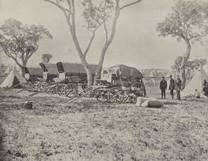 Engenheiros Camp, Langwarrin, Victoria de English Photographer