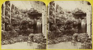 Fernery e cachoeira no aquário de Brighton de English Photographer