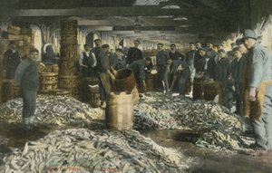 Pesca em Lowestoft (foto a cores) de English Photographer