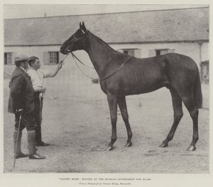 Galtee More, comprada pelo governo russo por £ 21.000 de English Photographer