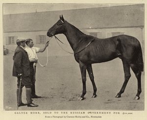 Galtee More, vendido ao governo russo por £ 21.000 de English Photographer