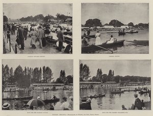 Regata de Henley