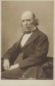 Herbert Spencer (1820-1903), filósofo inglês, teórico político, biólogo e sociólogo de English Photographer