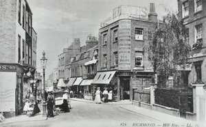Hill Rise, Richmond: visão geral, 1895 de English Photographer