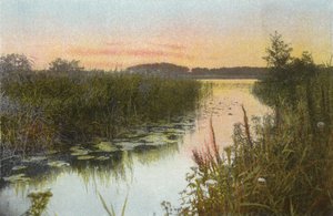 Hoveton Broad de English Photographer