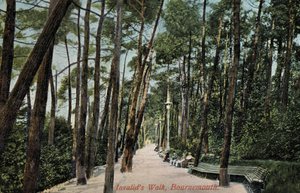 Caminhada dos Inválidos, Bournemouth (foto) de English Photographer