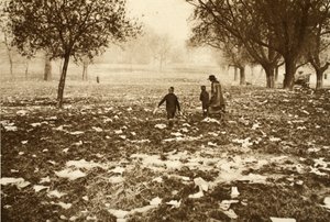 Grama coberta de lixo em Hampstead Heath no dia seguinte a um feriado bancário, de Wonderful London, publicado em 1926-27 (fotogravura) de English Photographer